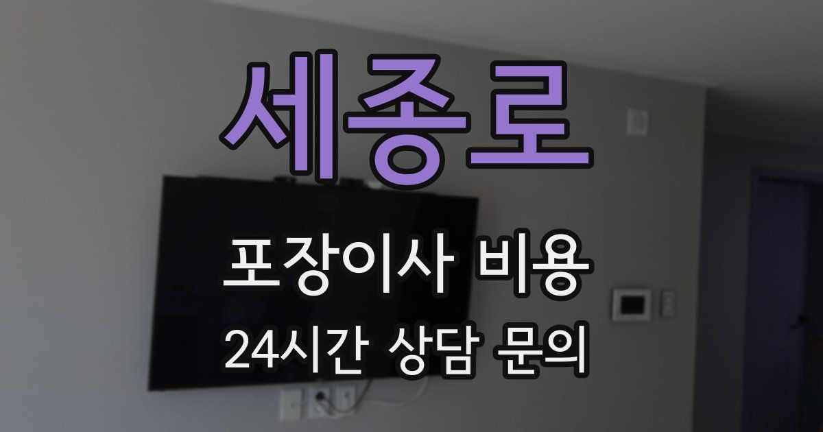 세종로 포장이사 비용