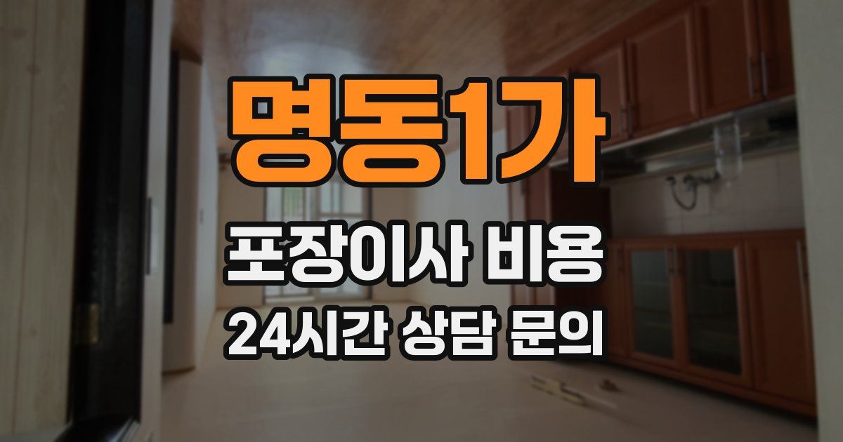 명동1가 포장이사 비용