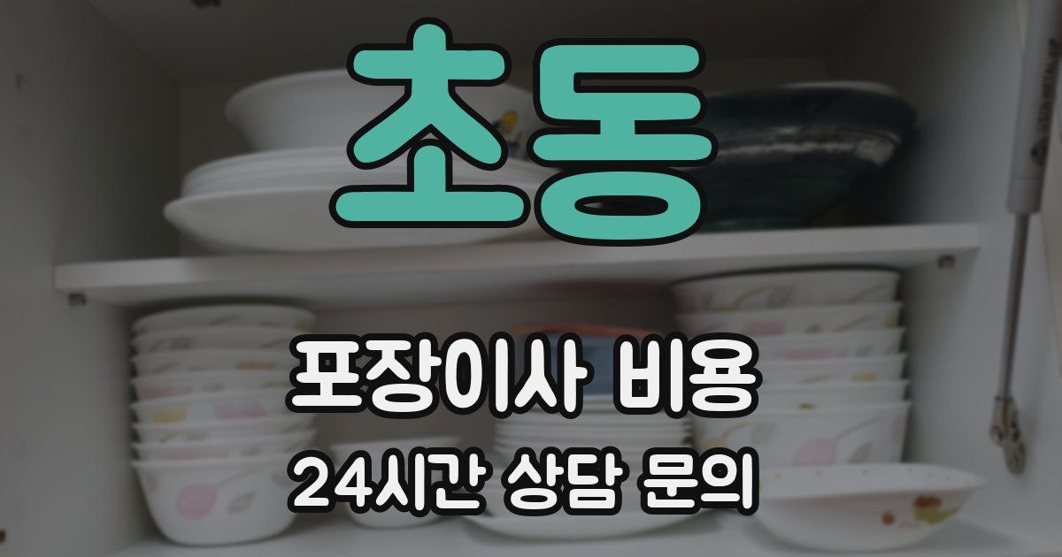 초동 포장이사 비용