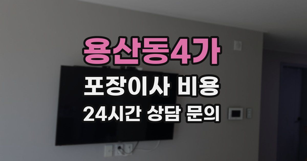 용산동4가 포장이사 비용