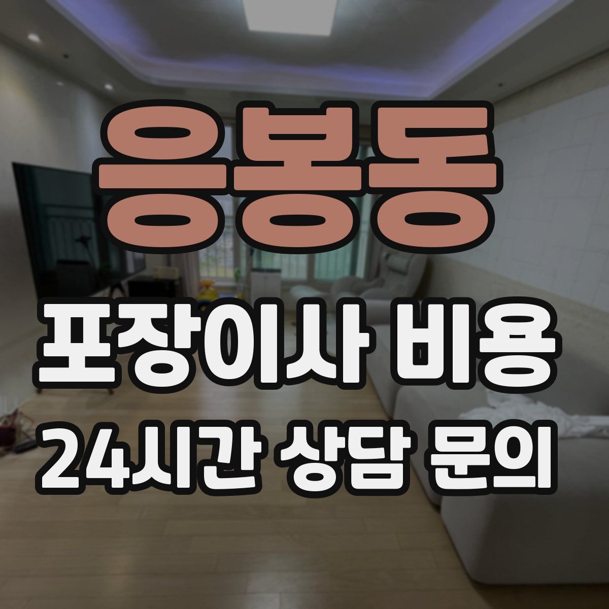 응봉동 포장이사 비용