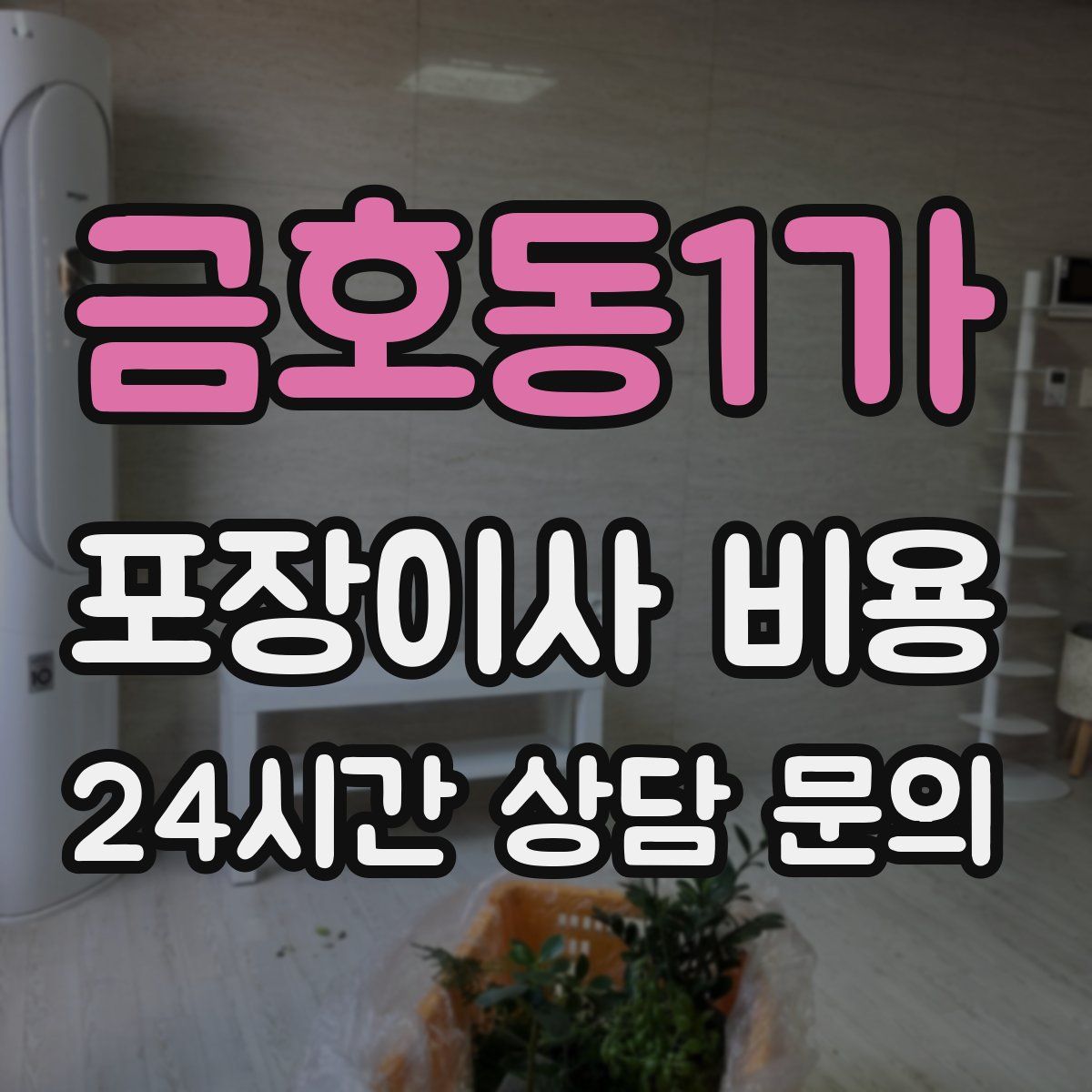 금호동1가 포장이사 비용