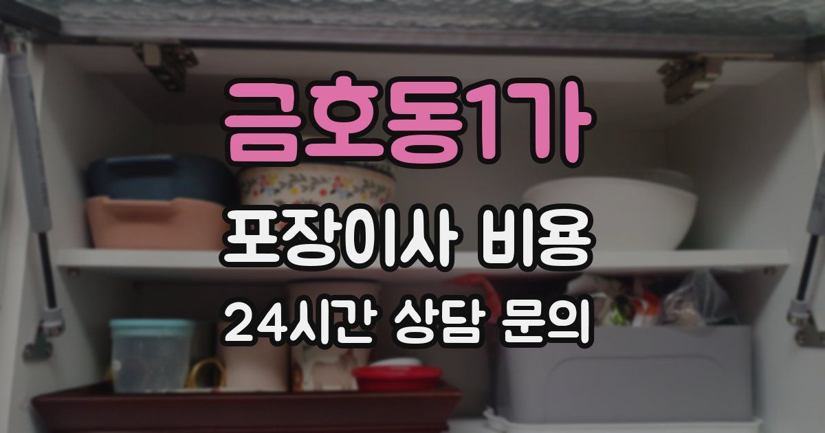 금호동1가 포장이사 비용