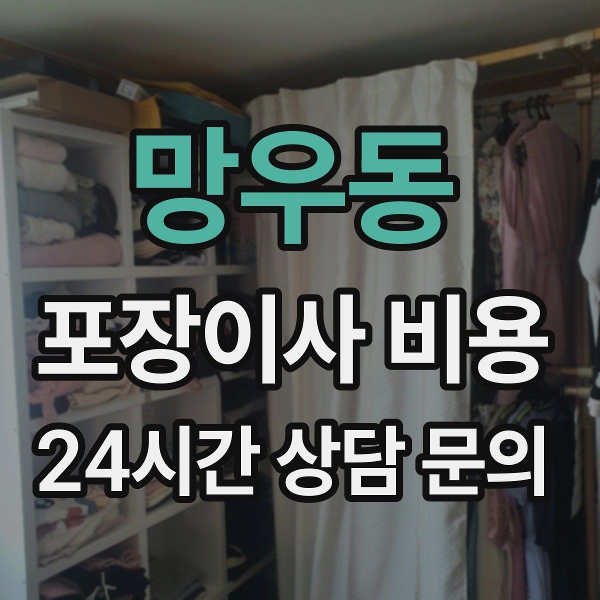 망우동 포장이사 비용 반려동물 이사 준비가 비용에 미치는 영향