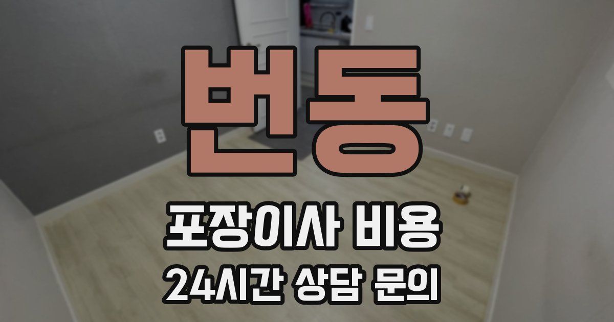 번동 포장이사 비용