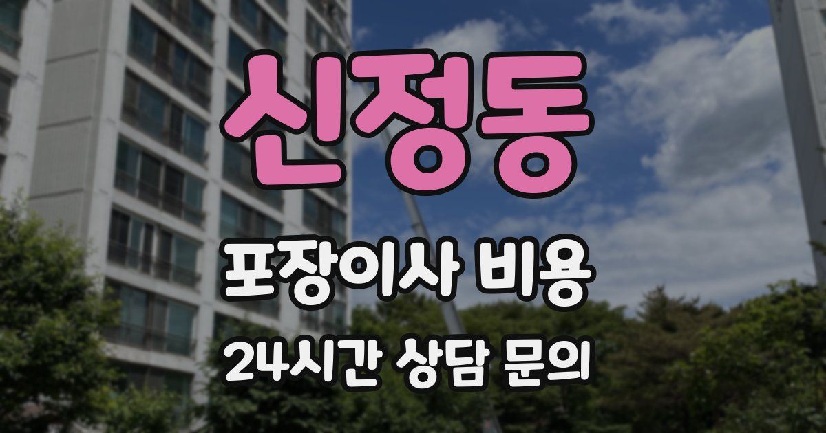 신정동 포장이사 비용