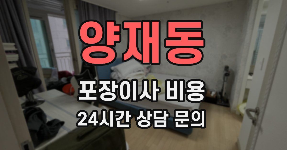 양재동 포장이사 비용