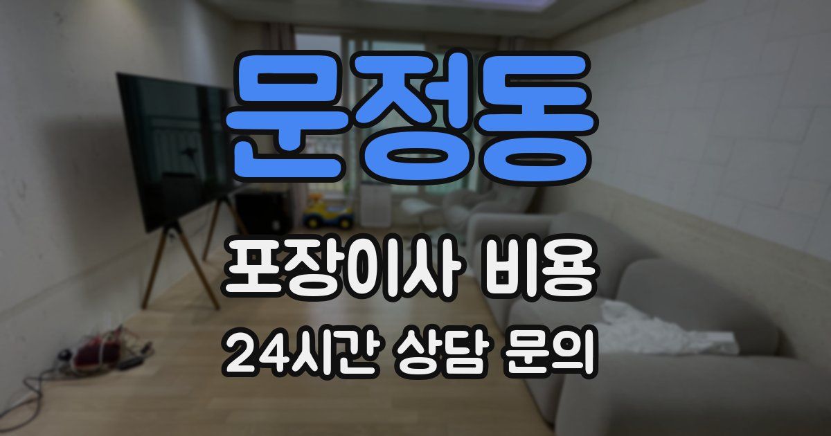 문정동 포장이사 비용