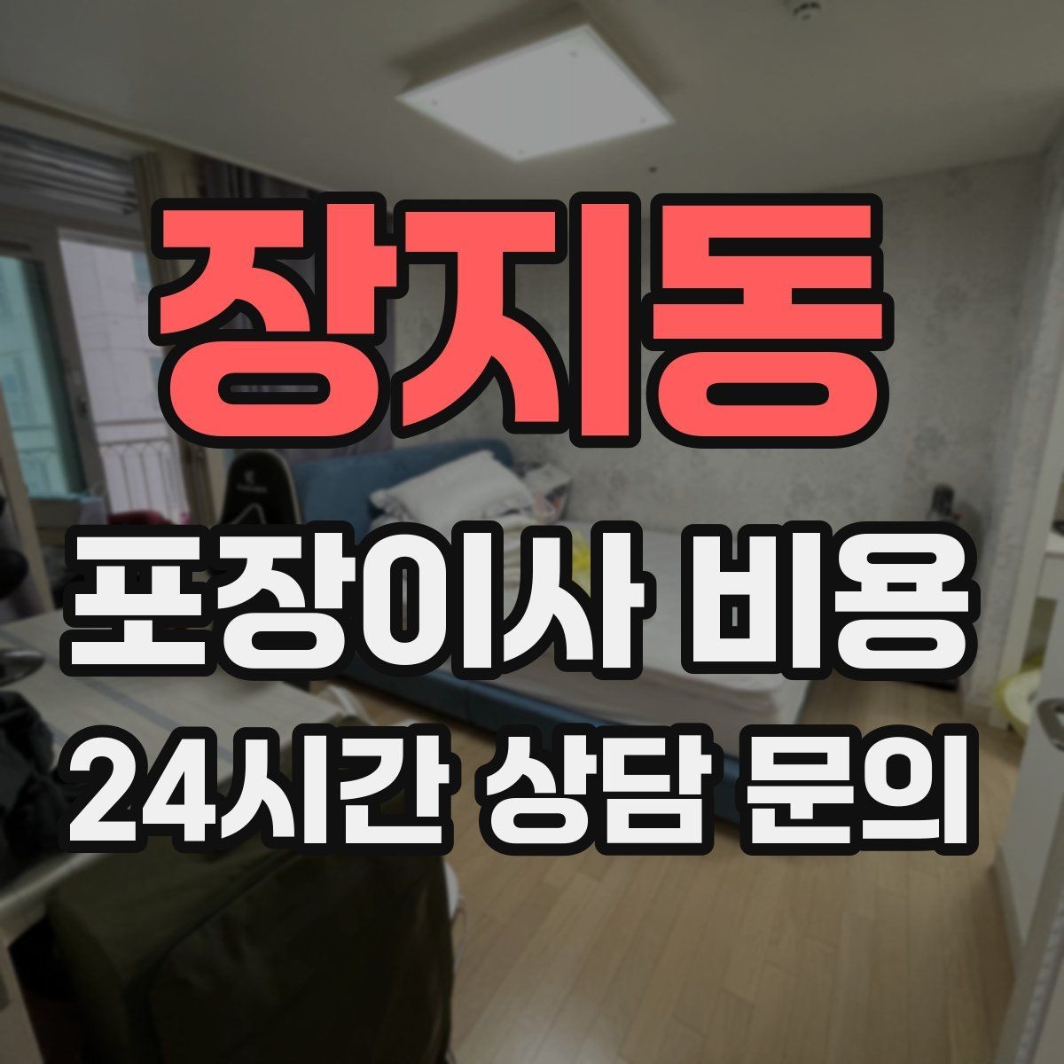 장지동 포장이사 비용 전입신고·주소 변경과 이사 일정 맞추기
