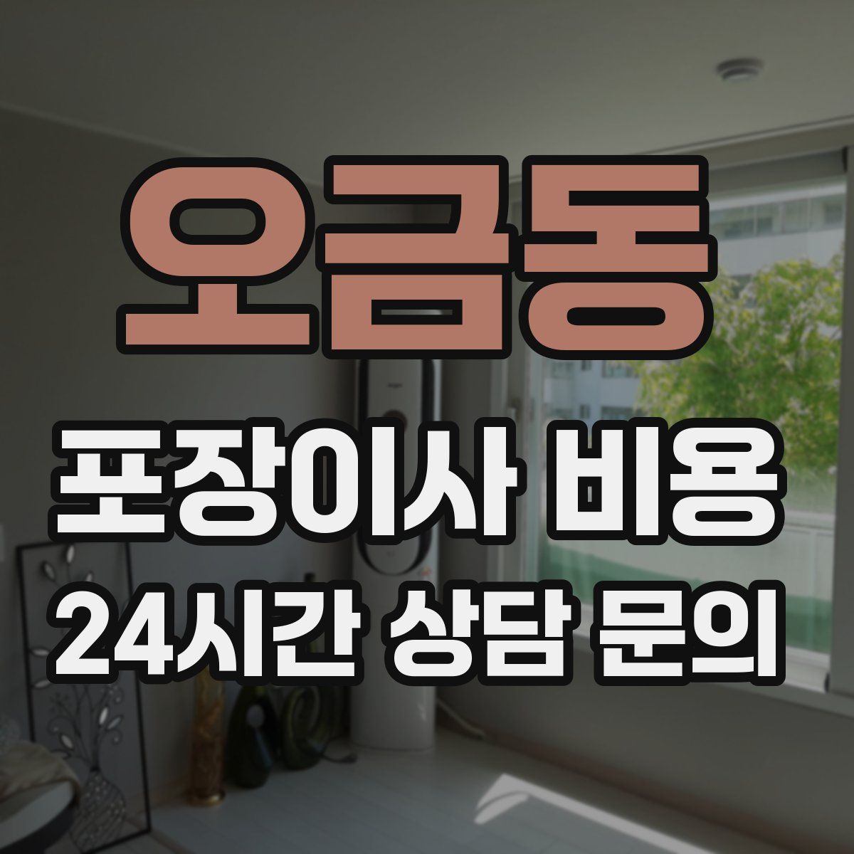 오금동 포장이사 비용