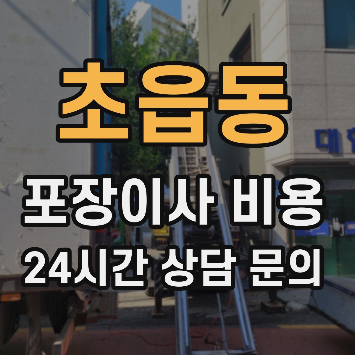 초읍동 포장이사 비용