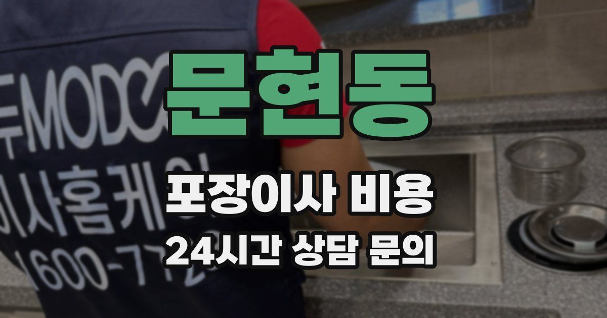 문현동 포장이사 비용