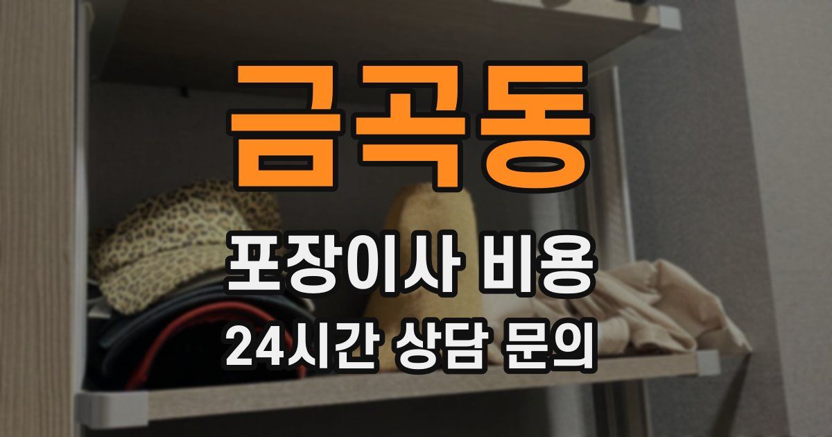 금곡동 포장이사 비용