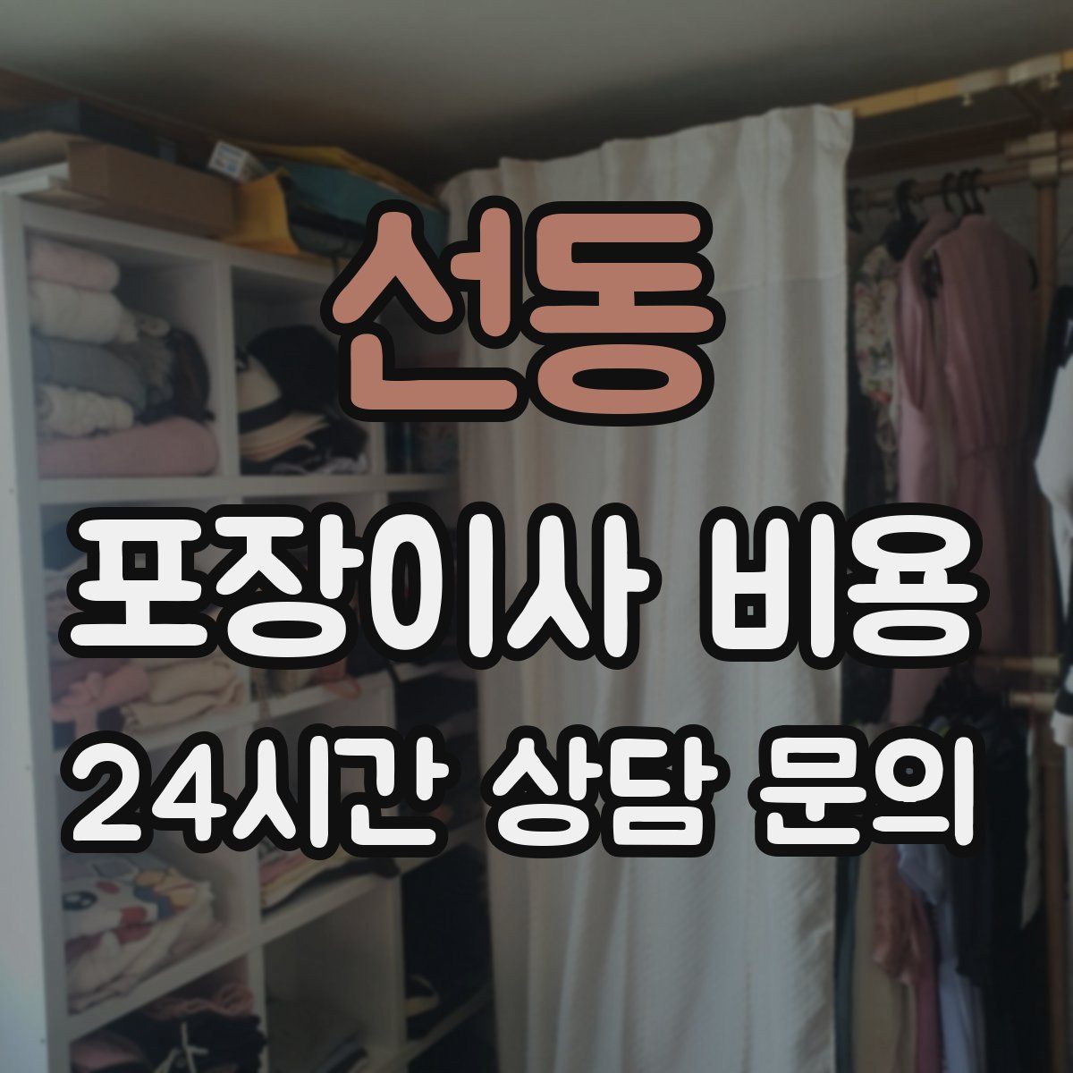 선동 포장이사 비용