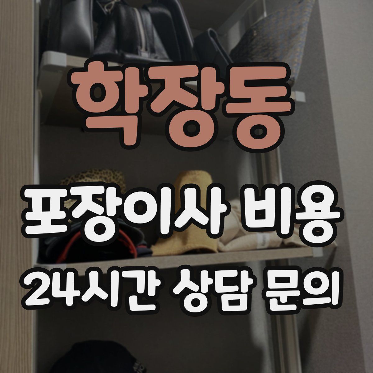 학장동 포장이사 비용