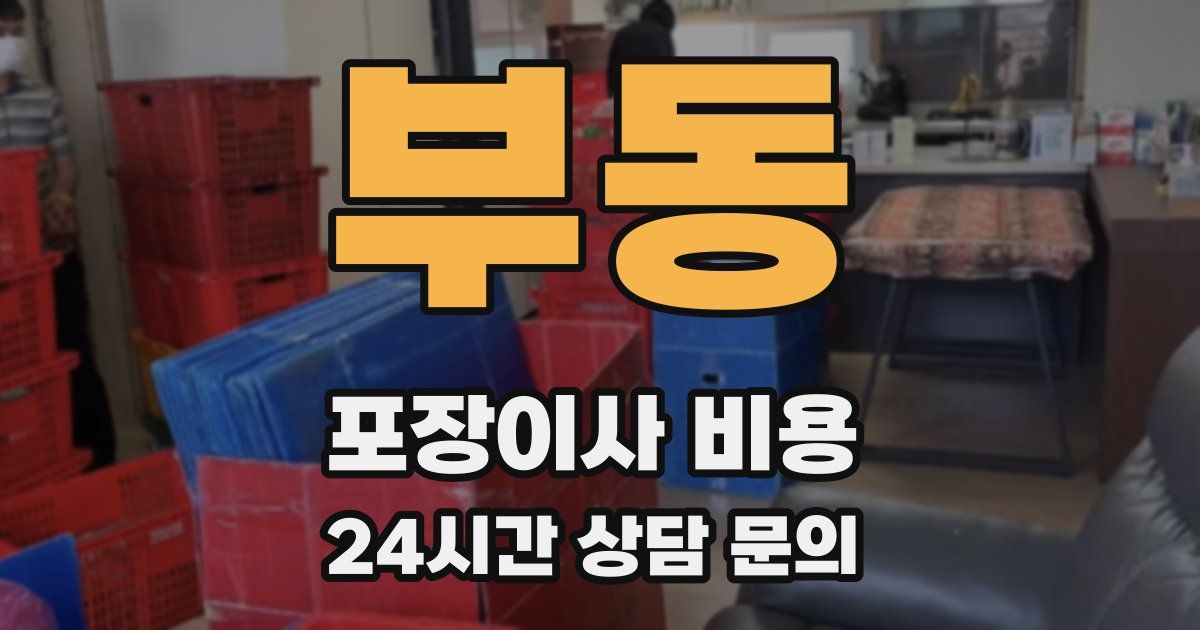 부동 포장이사 비용