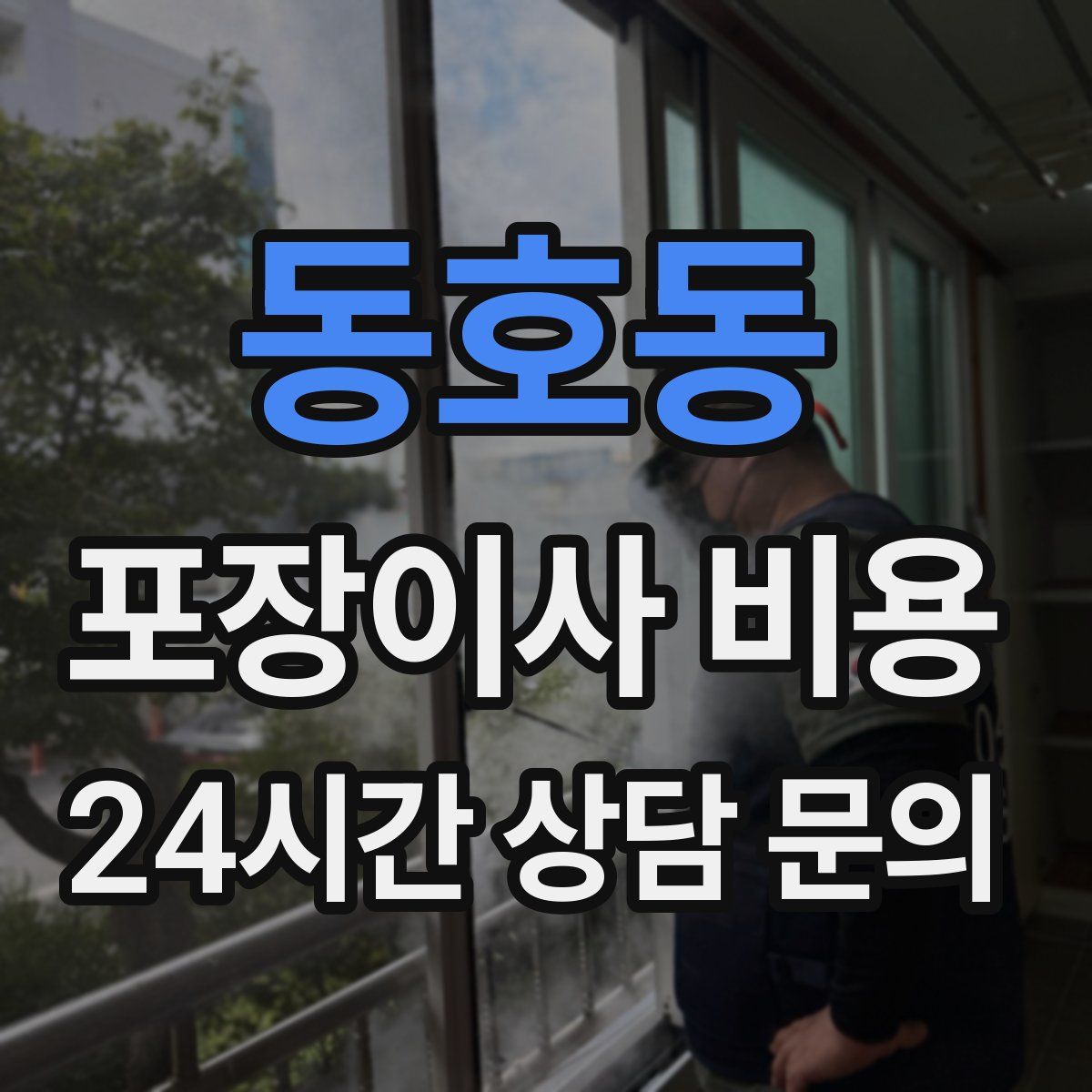 동호동 포장이사 비용