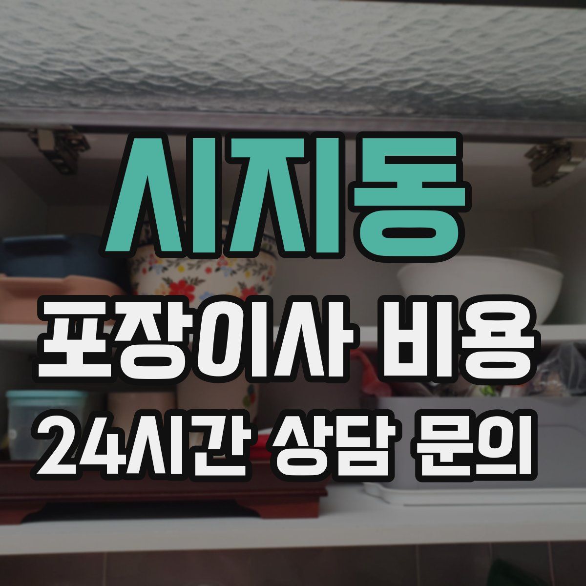 시지동 포장이사 비용