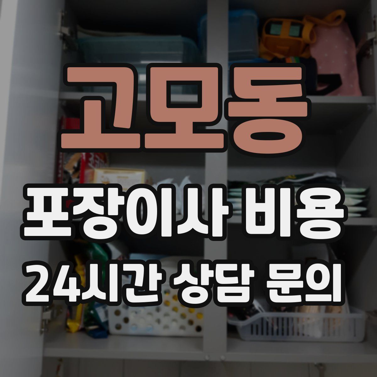 고모동 포장이사 비용