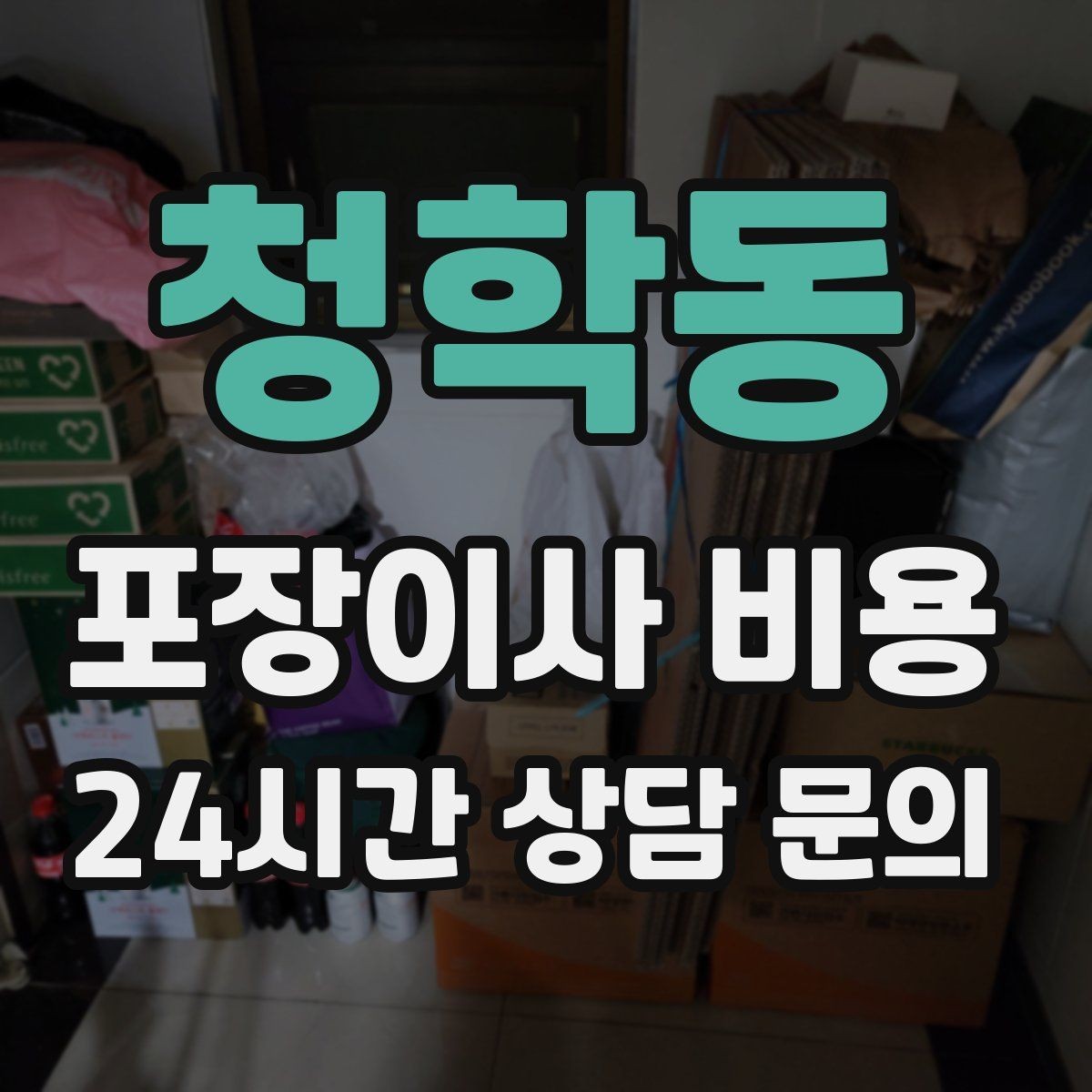 청학동 포장이사 비용 반려동물 스트레스 줄이는 이사 당일 동선