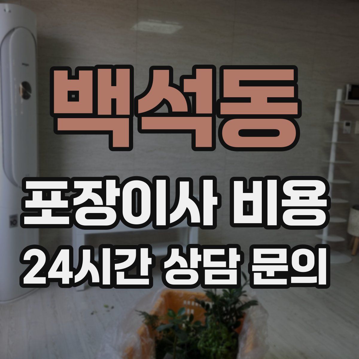 백석동 포장이사 비용