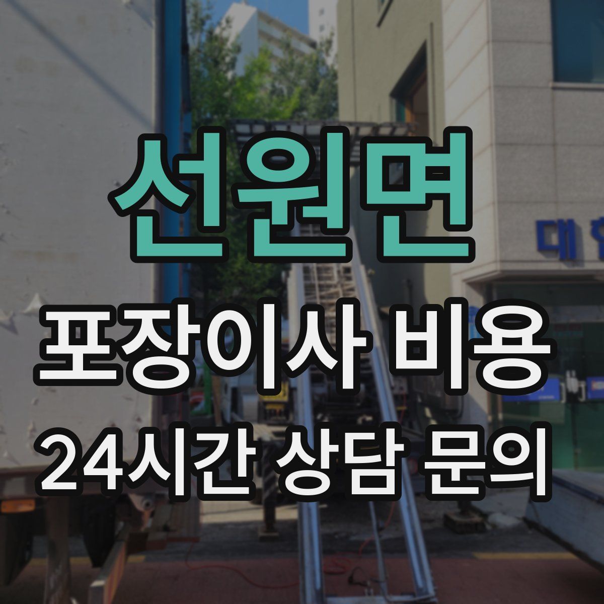 선원면 포장이사 비용