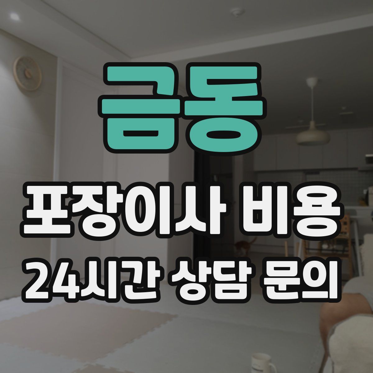금동 포장이사 비용