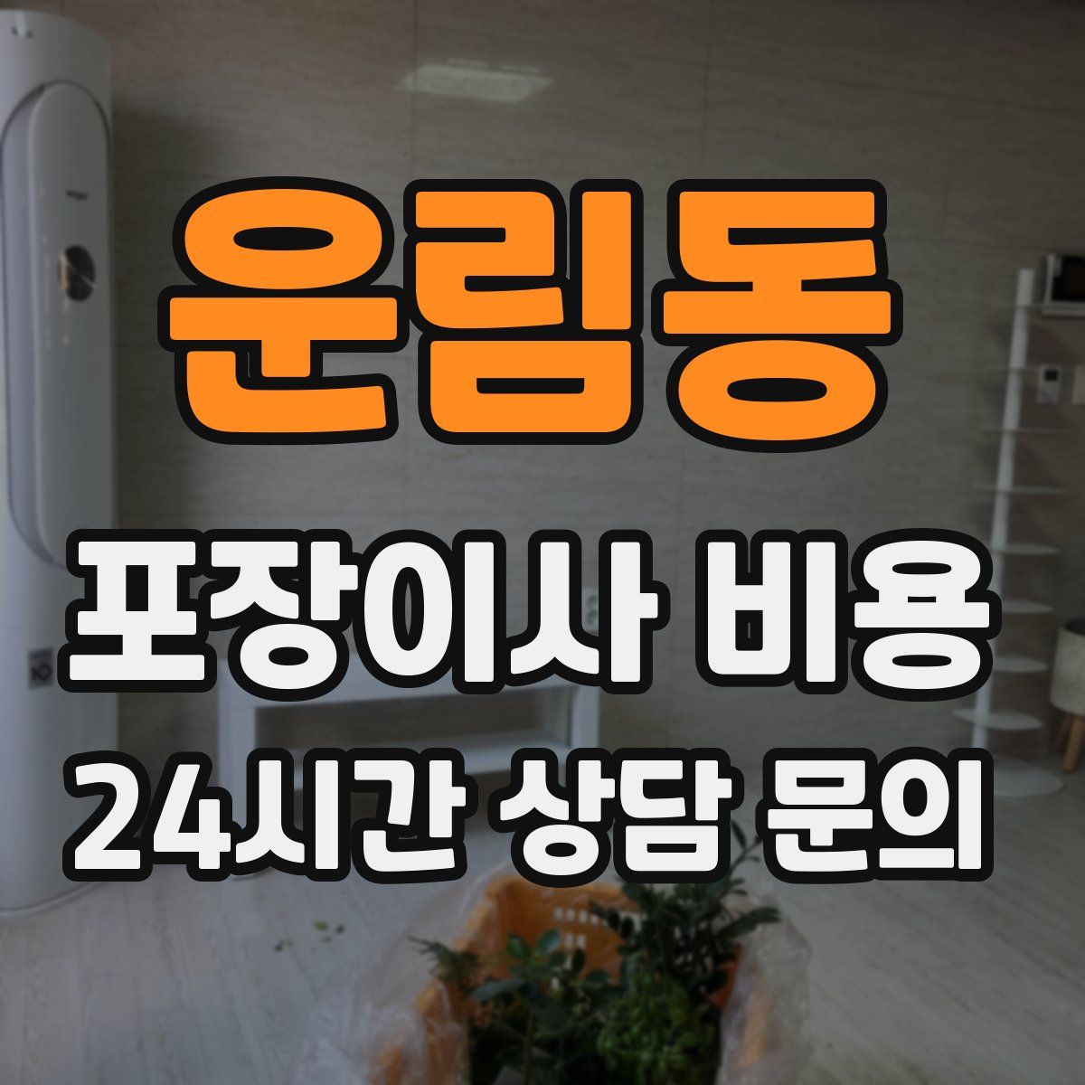 운림동 포장이사 비용