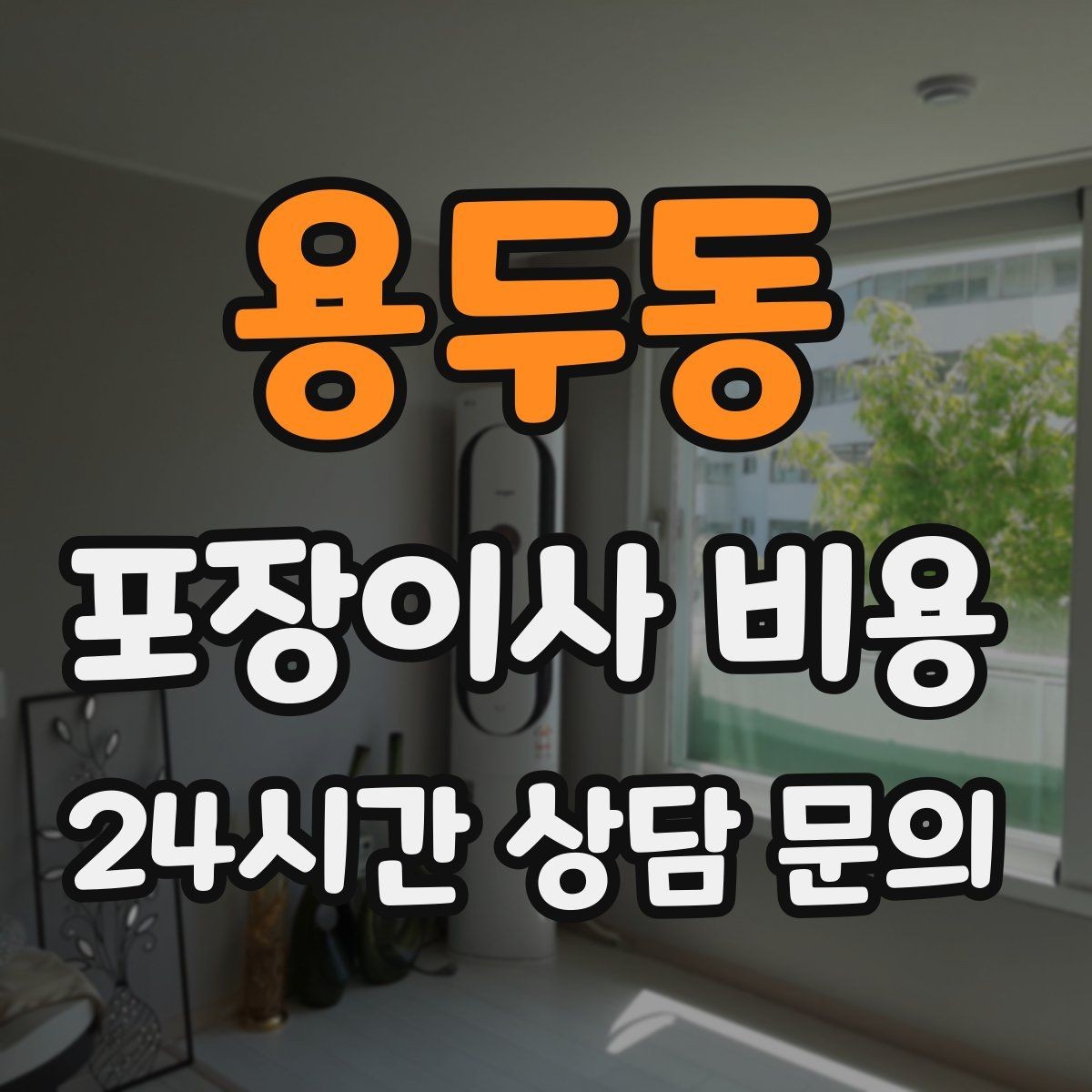 용두동 포장이사 비용 책이 많은 집은 왜 더 비싸질까