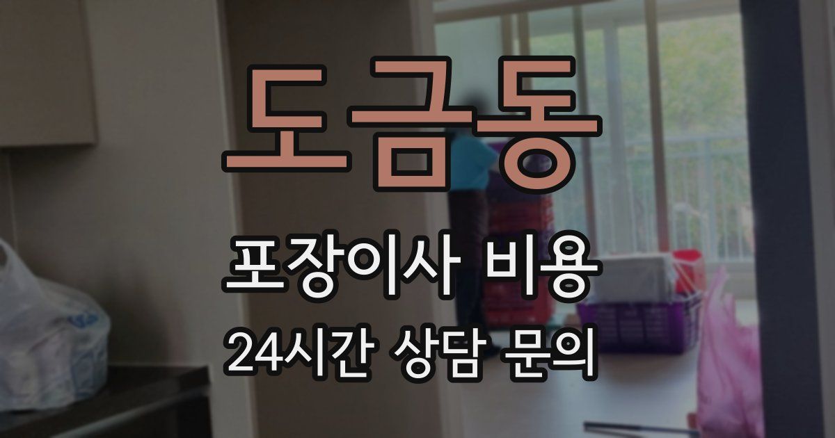 도금동 포장이사 비용