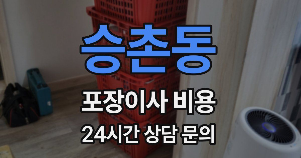 승촌동 포장이사 비용