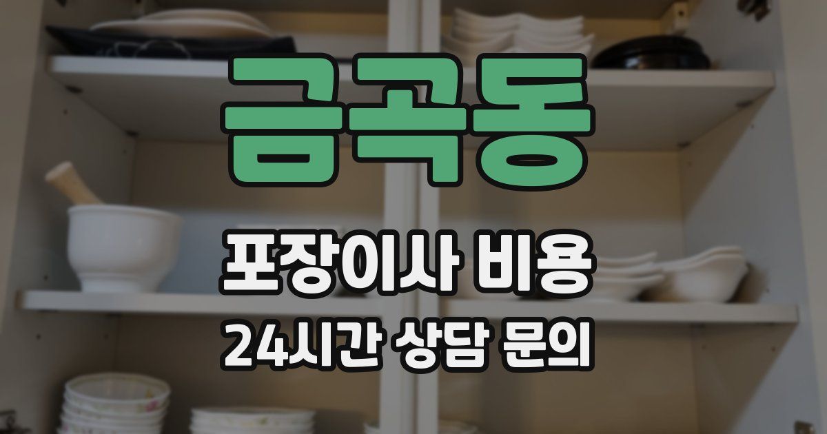 금곡동 포장이사 비용