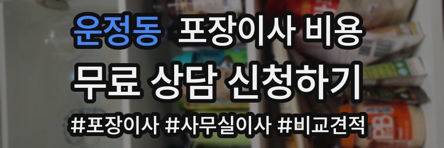운정동 포장이사 비용