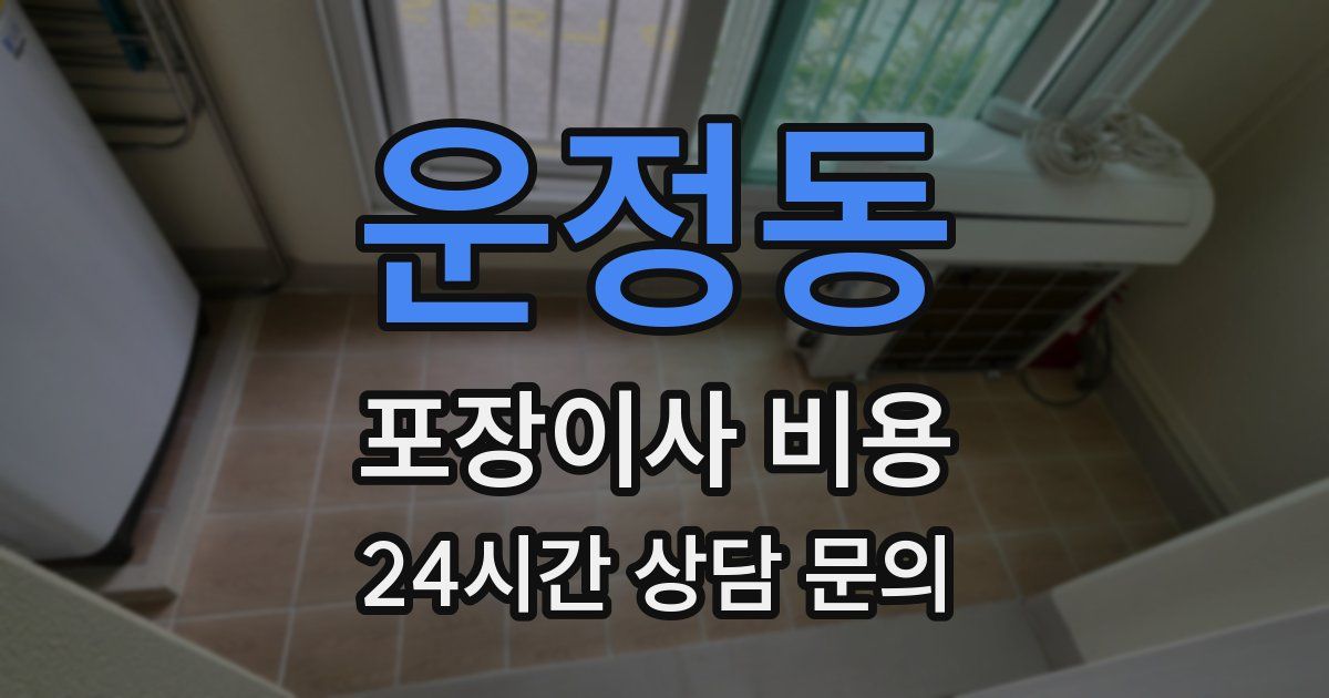 운정동 포장이사 비용