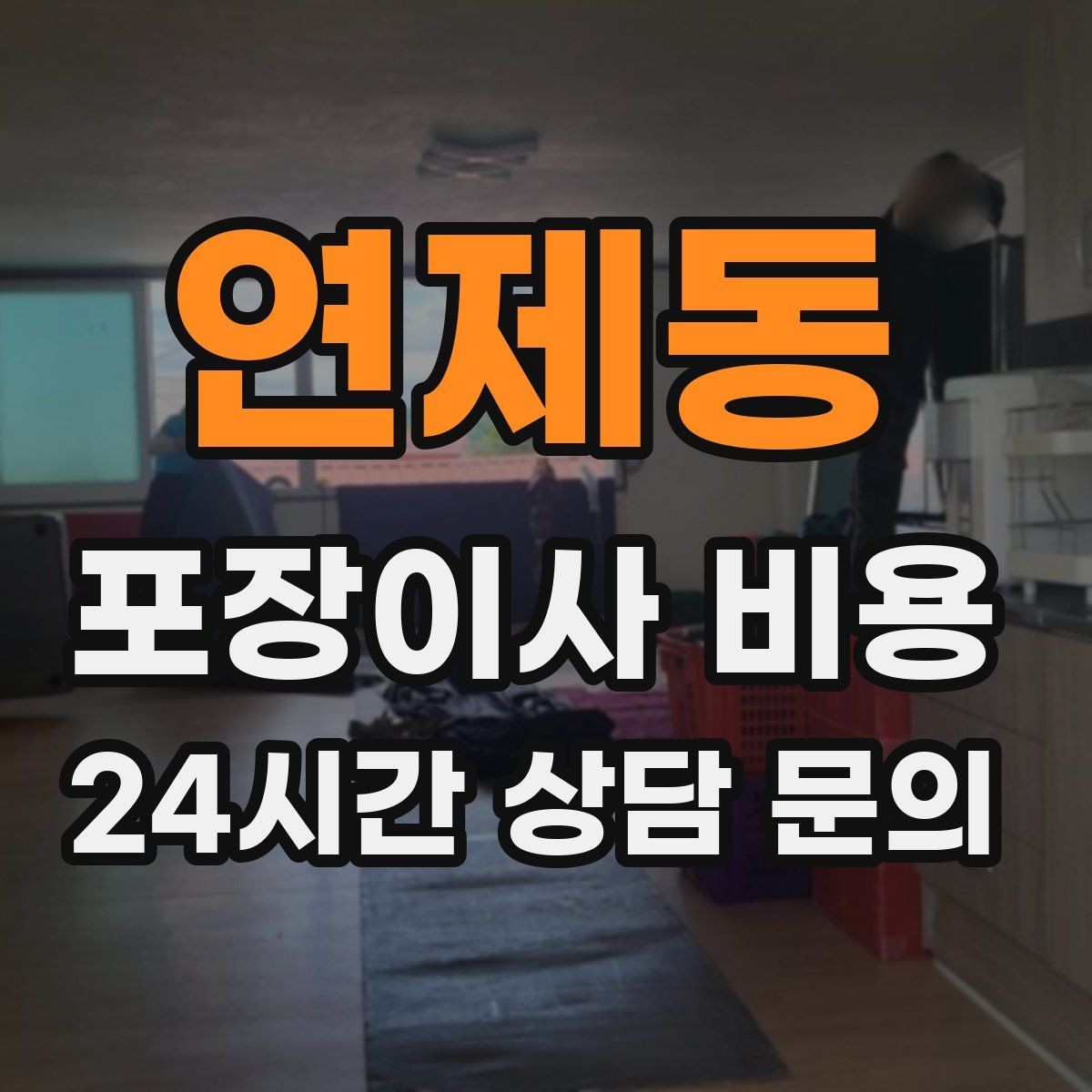 연제동 포장이사 비용 반려동물 스트레스 줄이는 이사 당일 동선