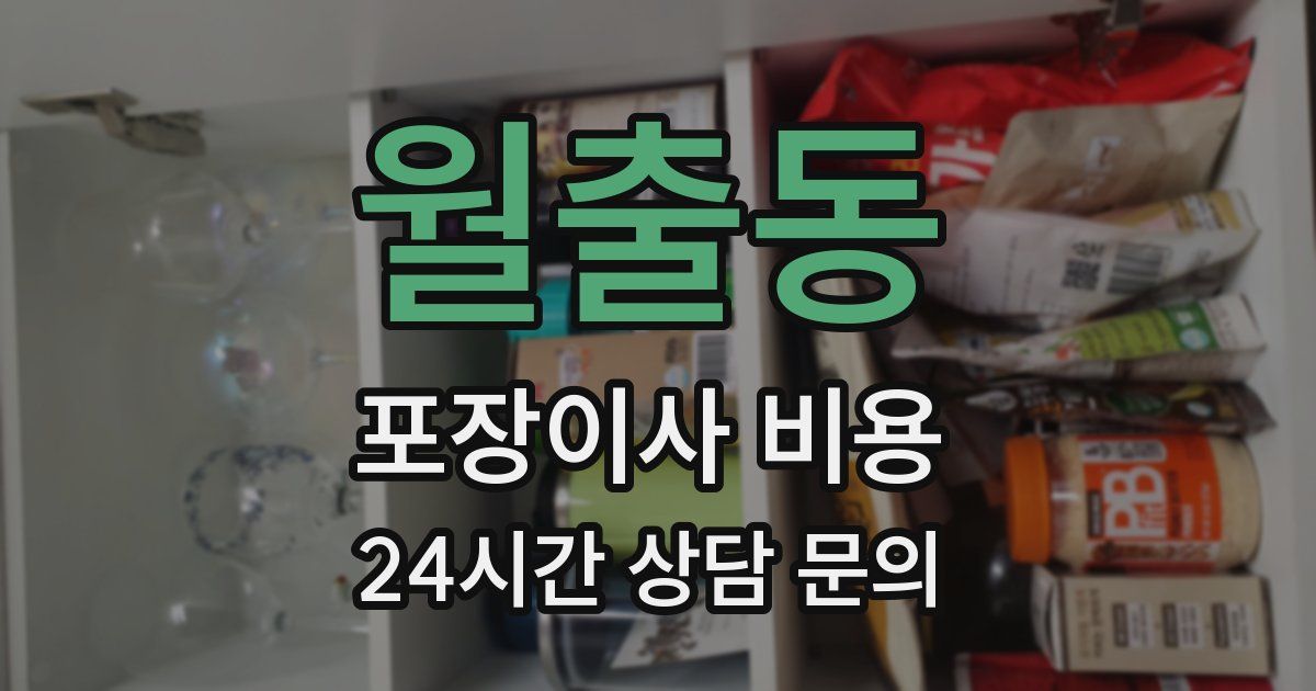 월출동 포장이사 비용