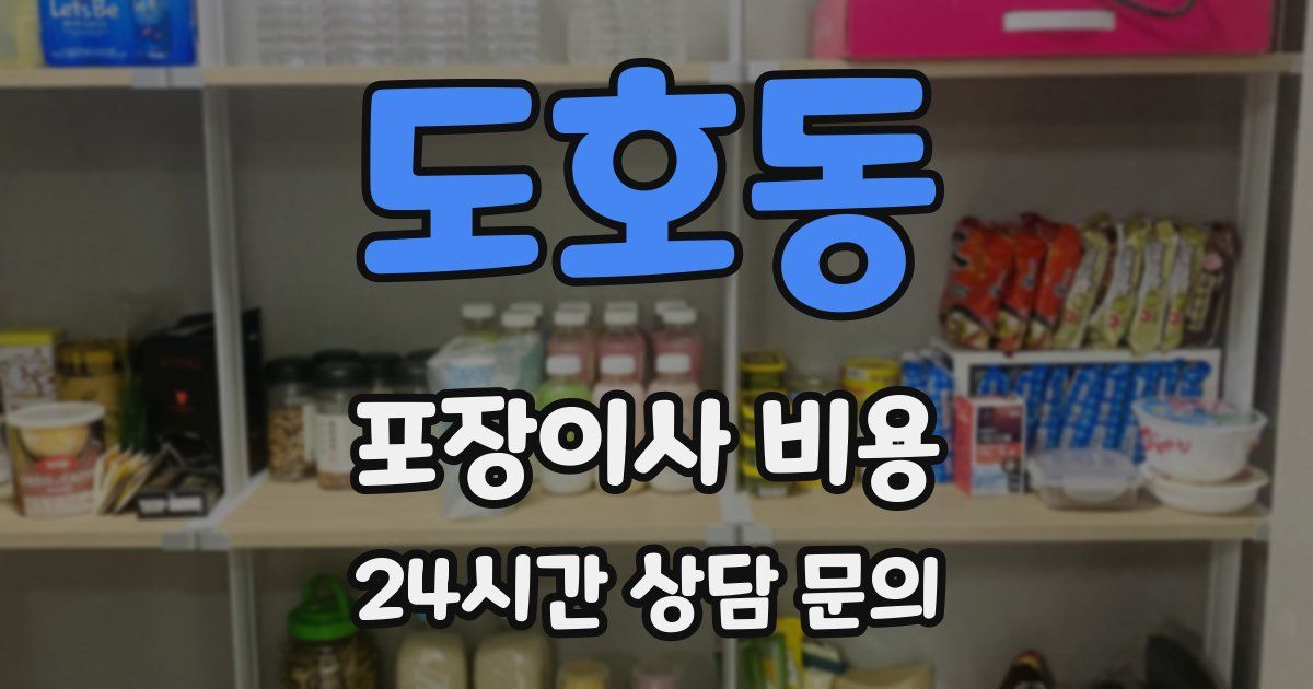 도호동 포장이사 비용