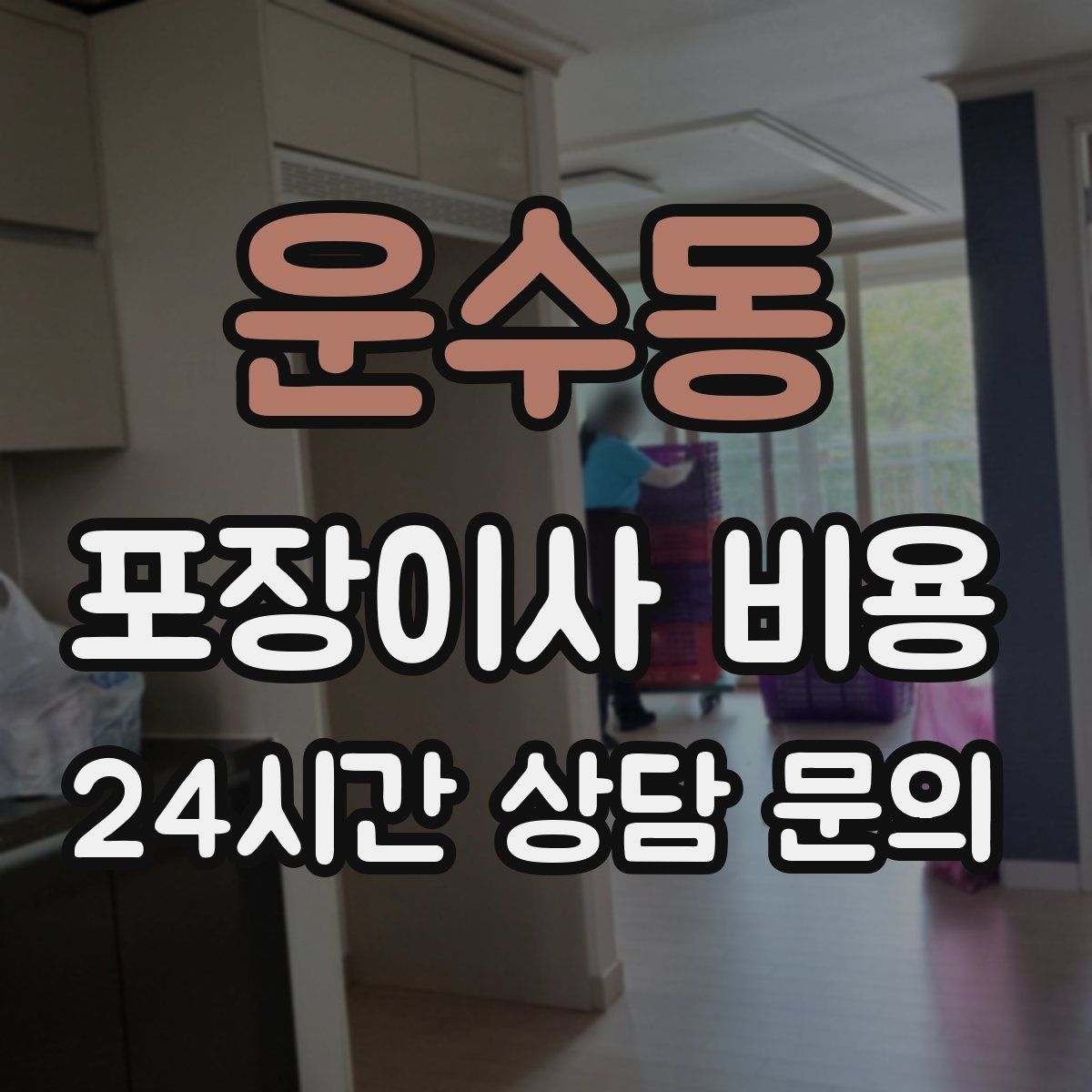 운수동 포장이사 비용