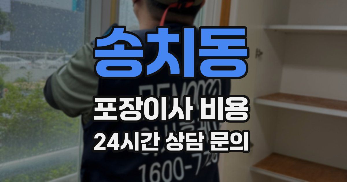 송치동 포장이사 비용