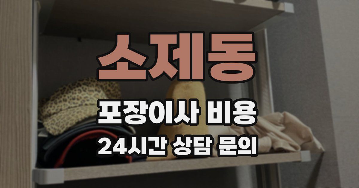 소제동 포장이사 비용