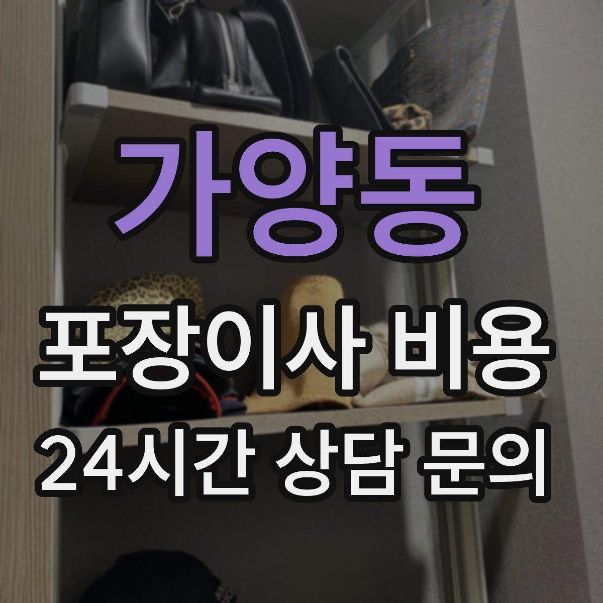 가양동 포장이사 비용 반려동물 이사 준비가 비용에 미치는 영향