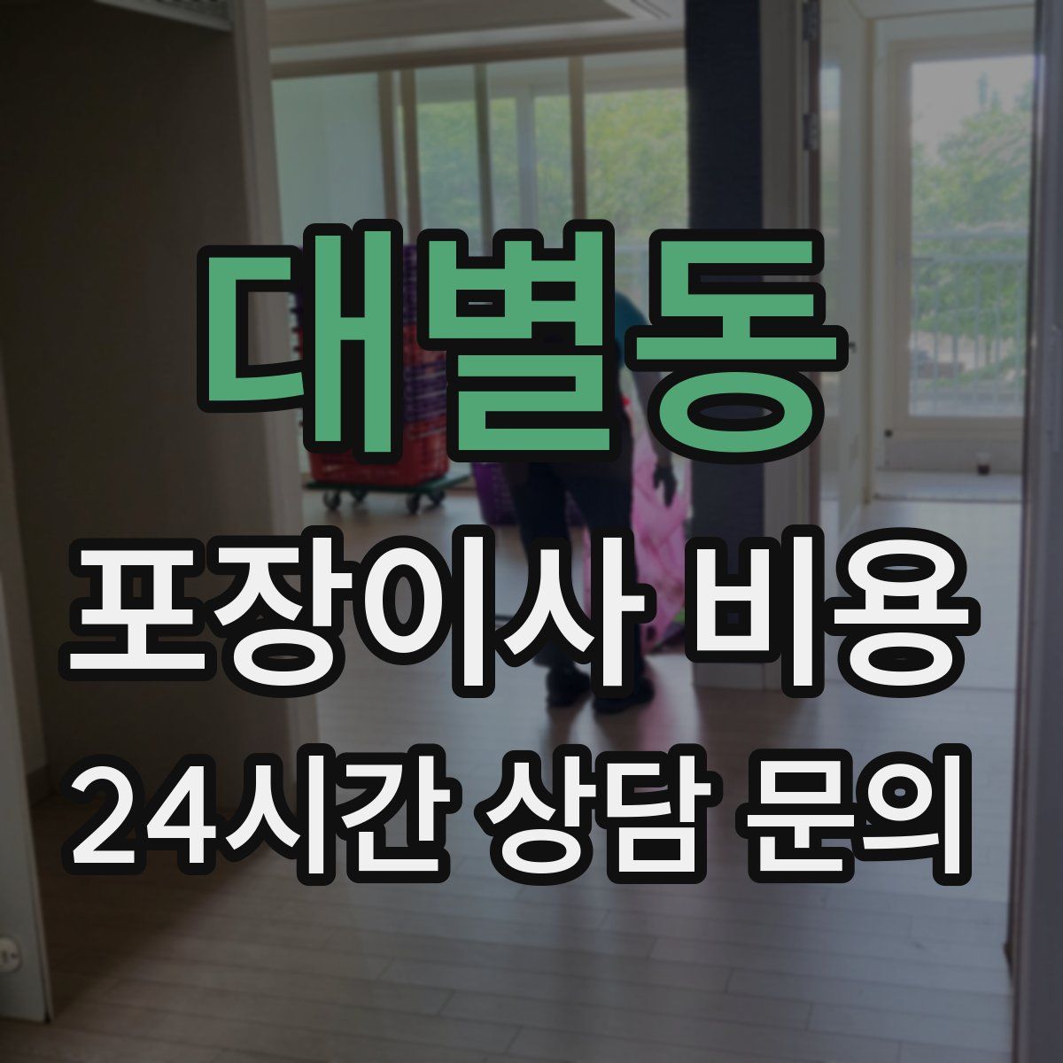 대별동 포장이사 비용