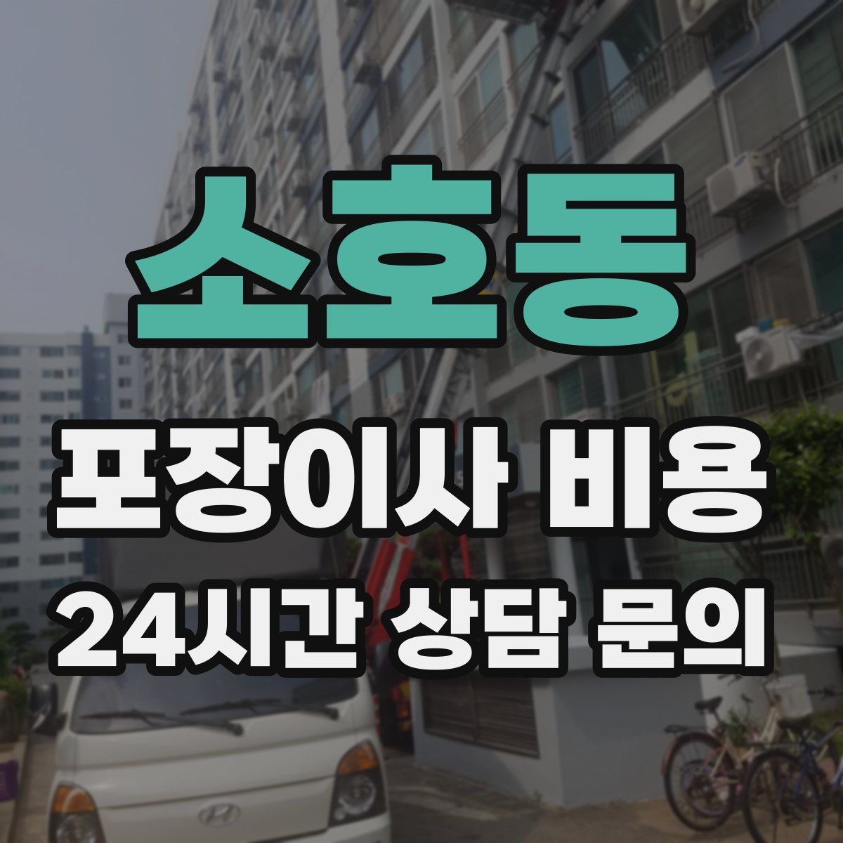소호동 포장이사 비용