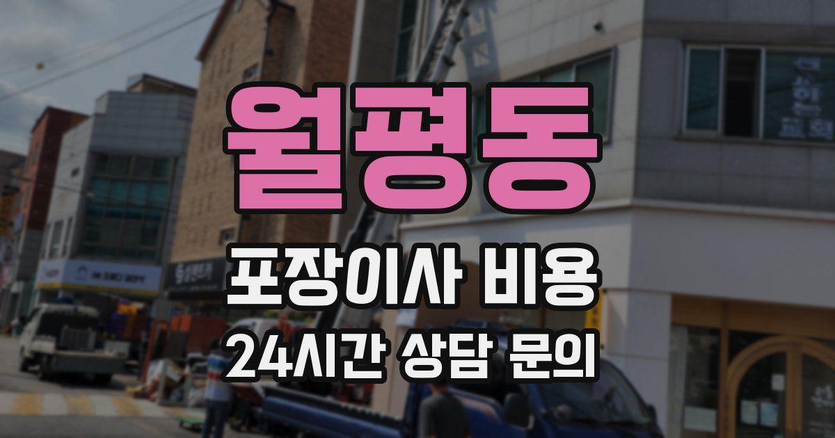 월평동 포장이사 비용