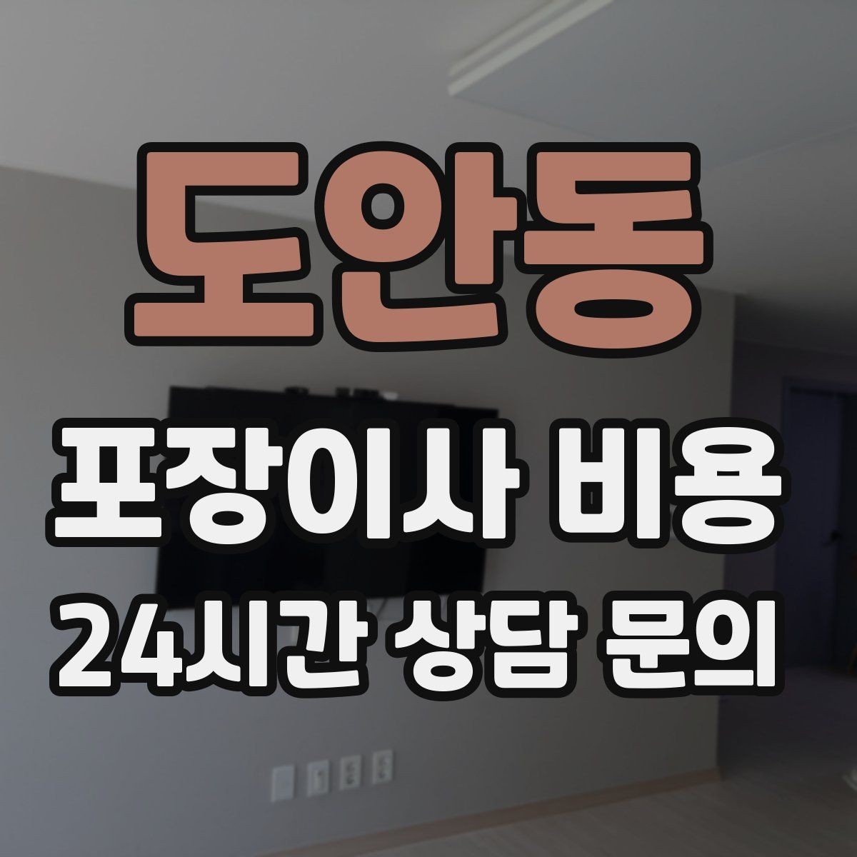 도안동 포장이사 비용 사무실 이사도 비용이 달라지는 포인트