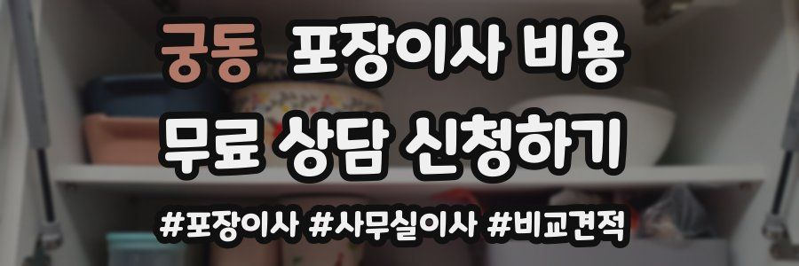 궁동 포장이사 비용
