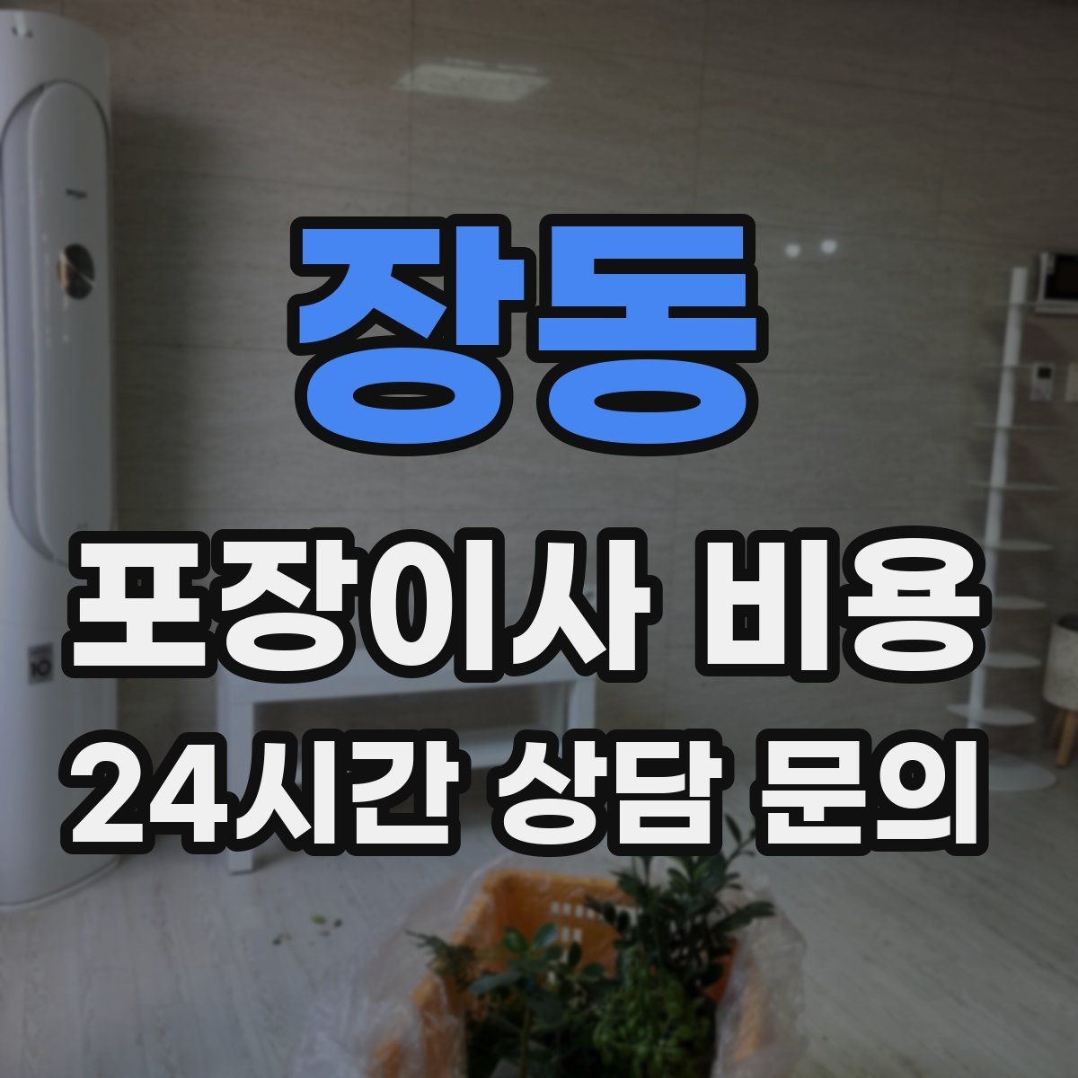 장동 포장이사 비용 반려동물이 있으면 준비가 달라지는 이유