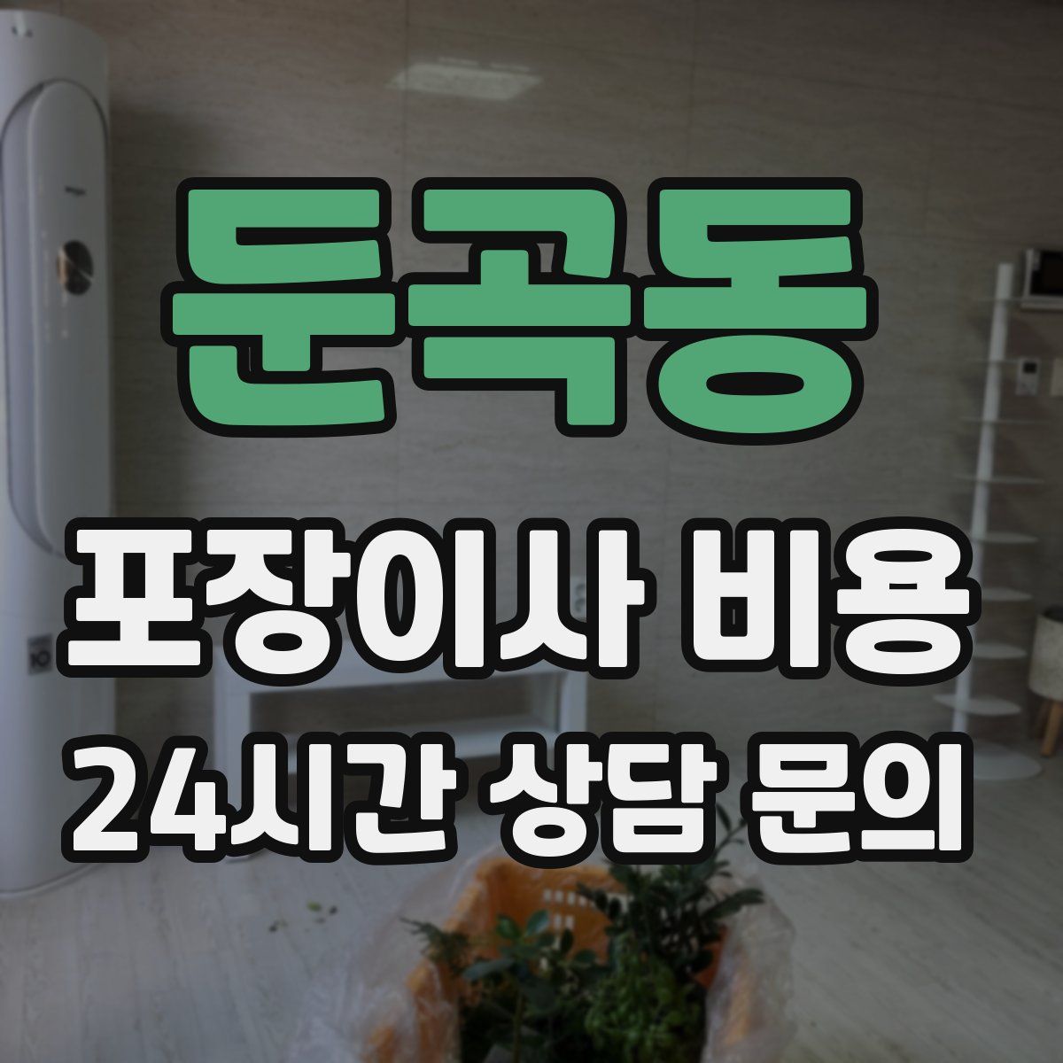 둔곡동 포장이사 비용
