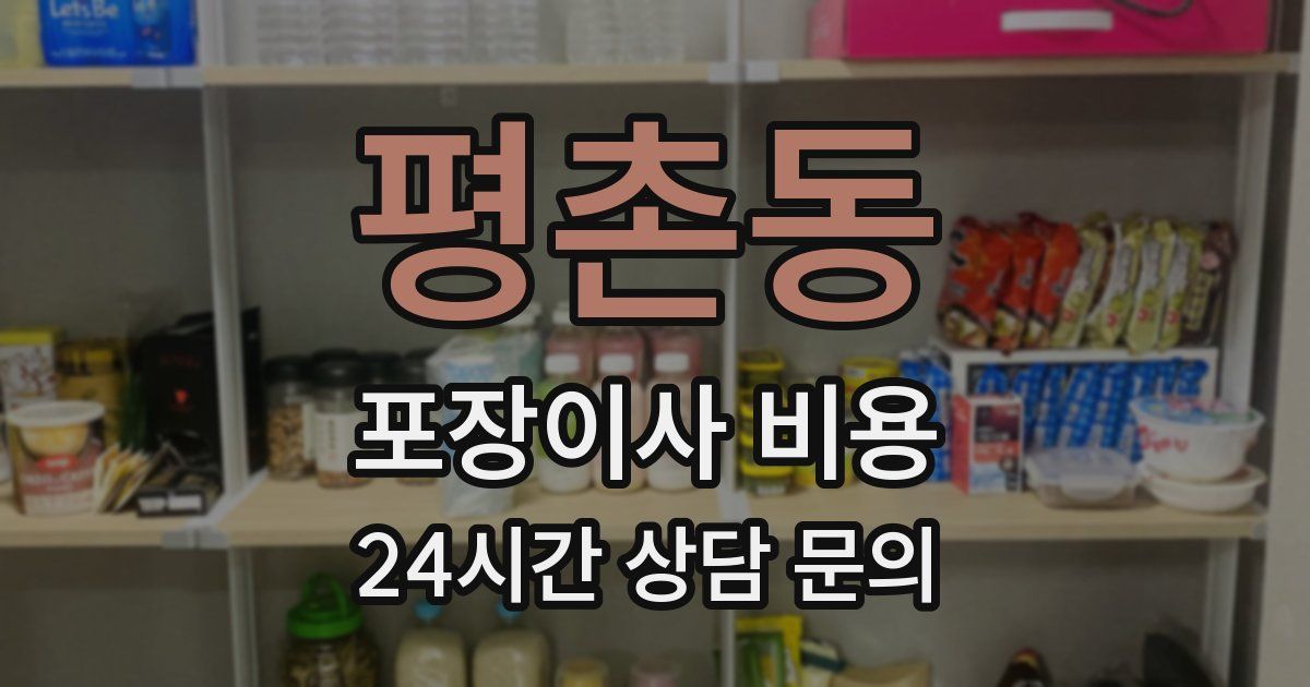 평촌동 포장이사 비용