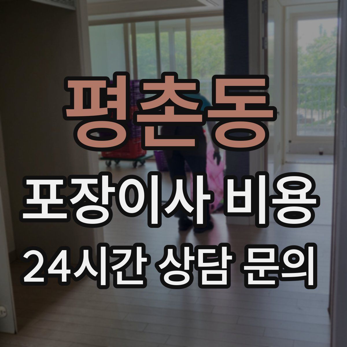 평촌동 포장이사 비용